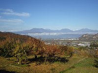 ���t���a