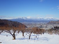 �����O��