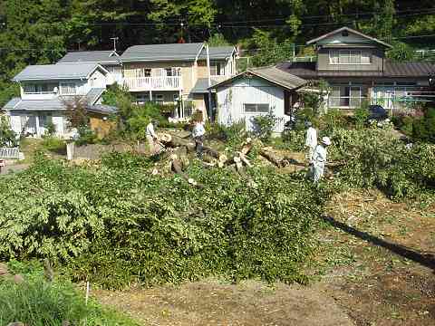 �؂�|���ꂽ��