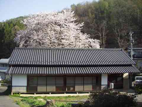 ����ƍ�