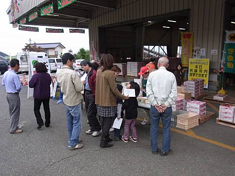 りんごの品種当てクイズ