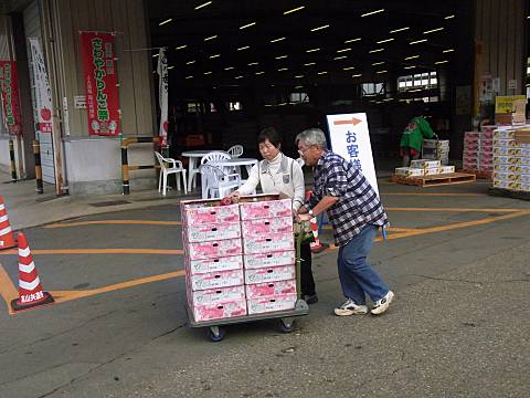 �������񂨔����グ