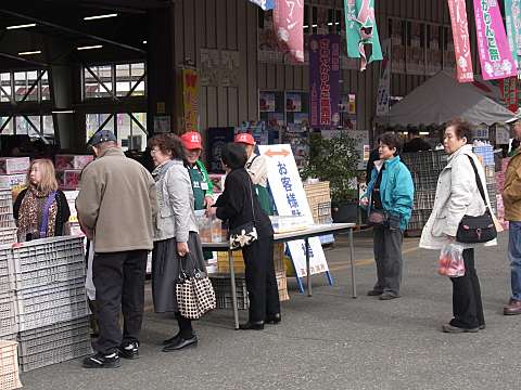 �s���|�����̂��ݎ��