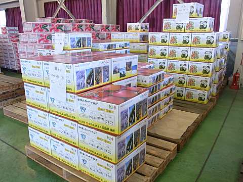 大量に積み上げられた段ボール箱