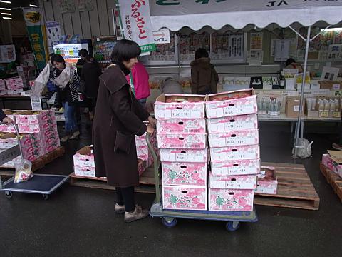 �������񂨔����グ