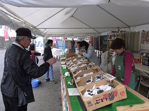 �Ԃǂ�������