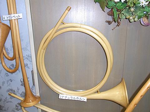 �i�`�������z����