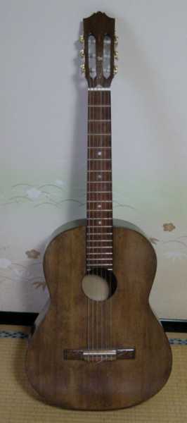 �M�^�[�i���j