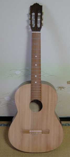 �M�^�[(���j