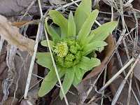 ��̊Ԃ������o�����ӂ�������