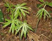 ���u���K�T