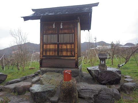 ���{�_��