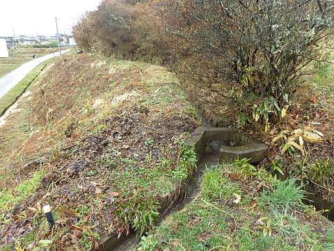 ��R�̕�����