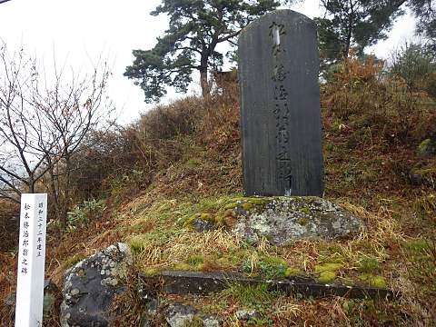 ���{�����Y���񓿔�