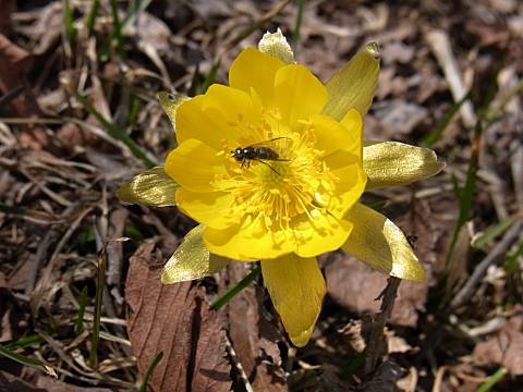 �L�^�~�t�N�W���\�E