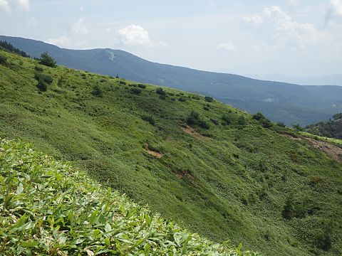 �і��R�̎R���Ɏc�鑾�c����