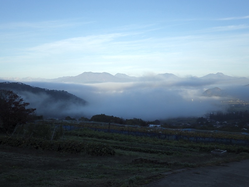 2024�N10��31��