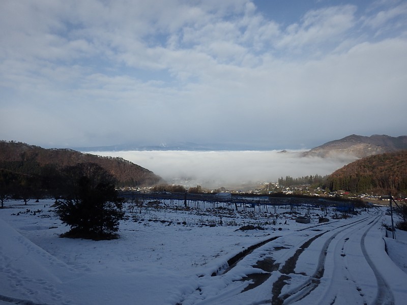 2024�N12��17��