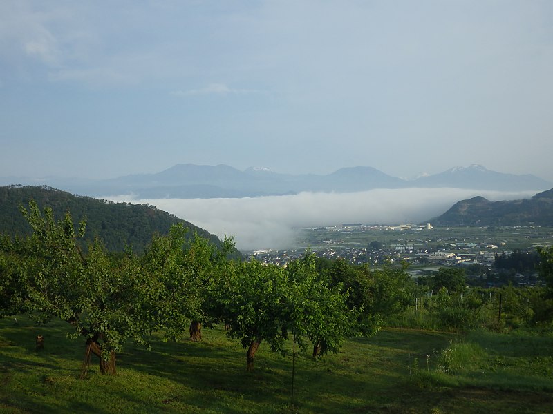 2025�N 6�� 2��