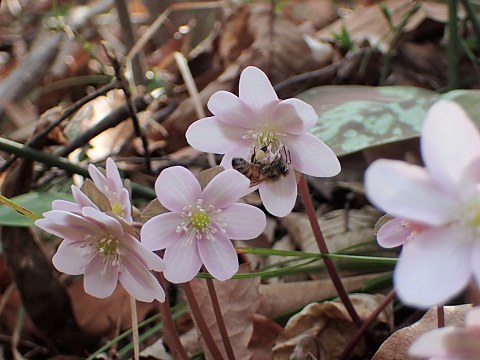 �~�X�~�\�E