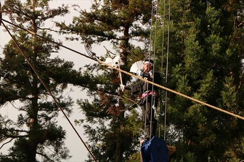 ���Č䒌�@���̖،���