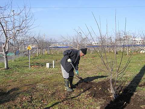 ��񂲂̕c�̒�A