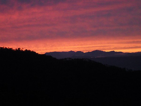 ���n�x�̗[�Ă�