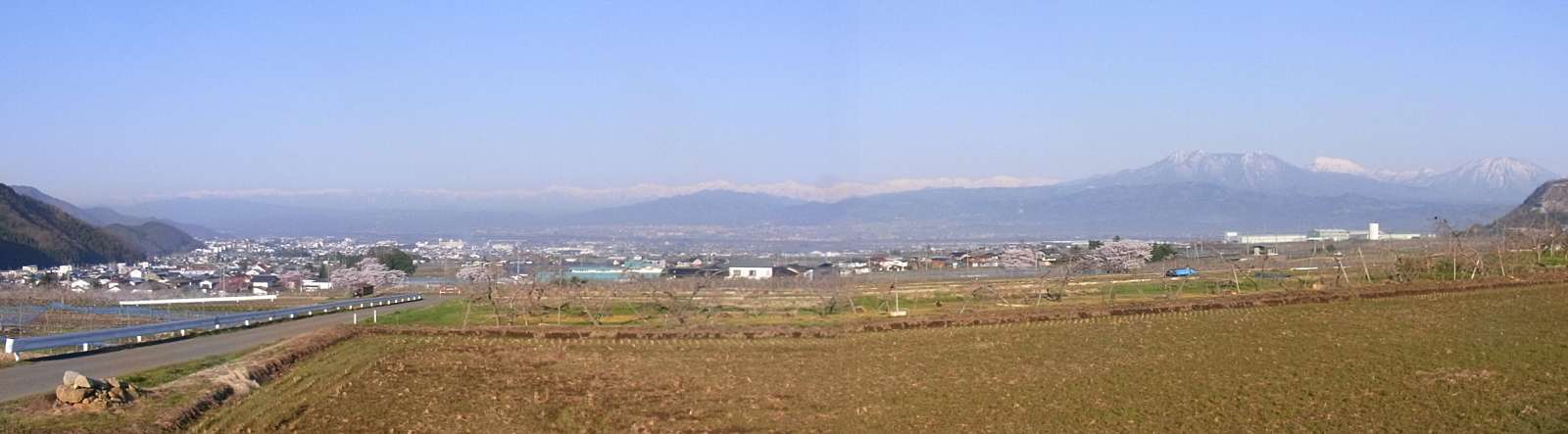 4�����{�̒�