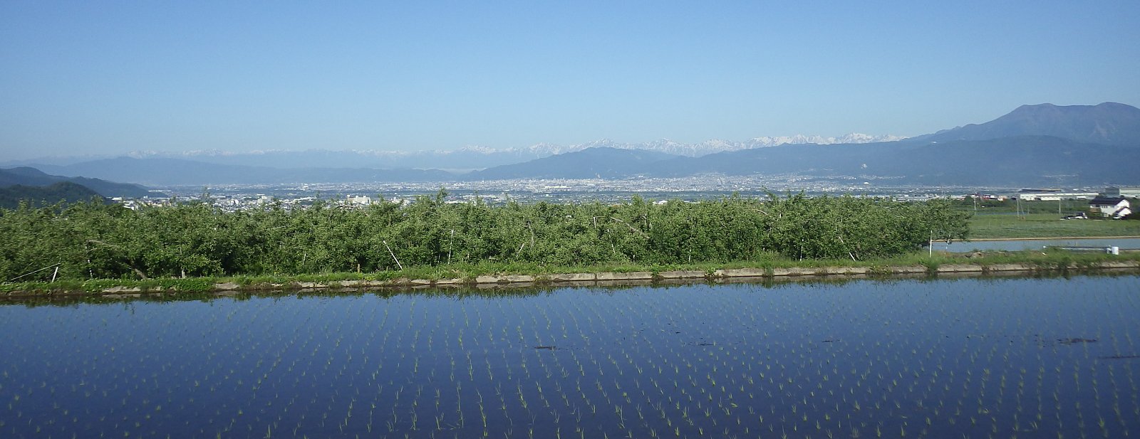 �ߍX���̒�