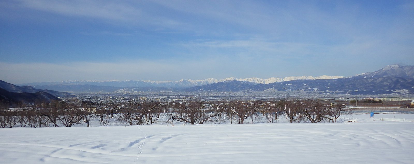 �����̒�