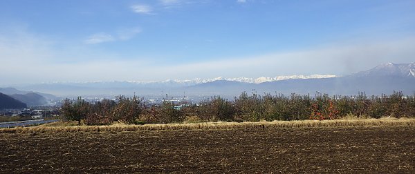 �����n�T���ӂ��̂���t���̒�