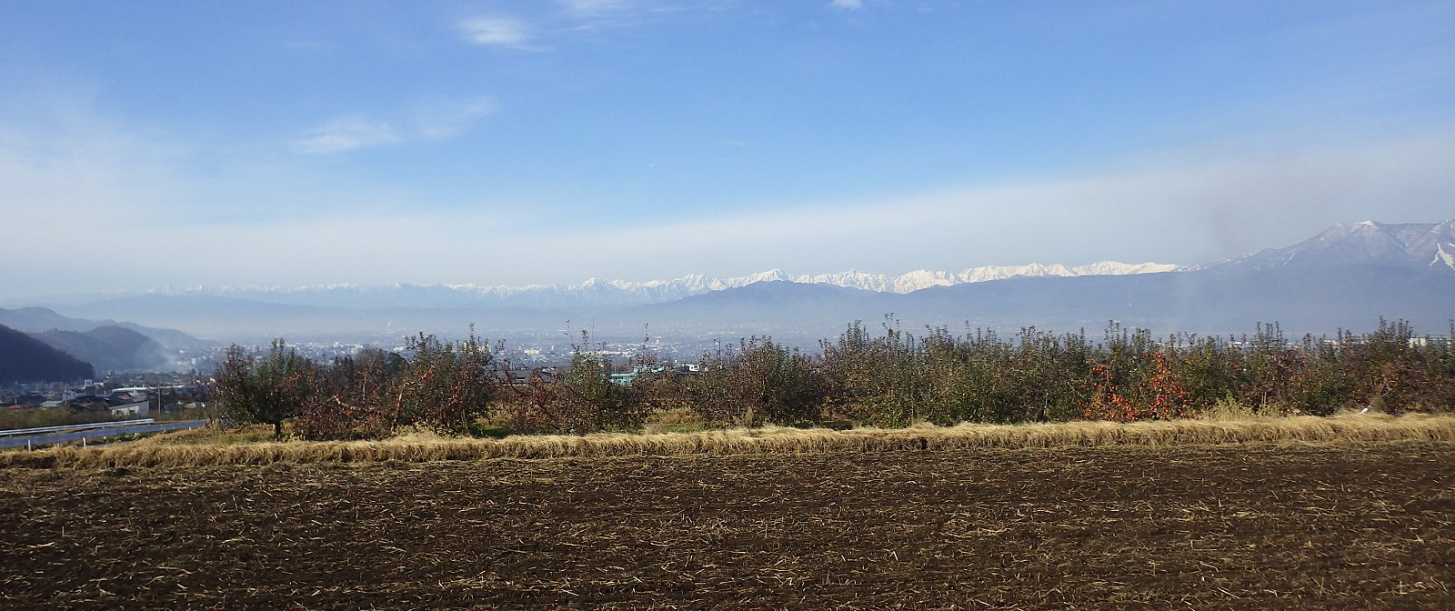 �����n�T���ӂ��̂���t���̒�