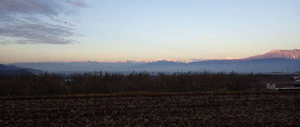 ������Ԃ����R�X�������ŐF�t���Ă���閾��