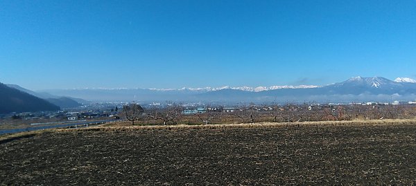 ���̓���O���̒�