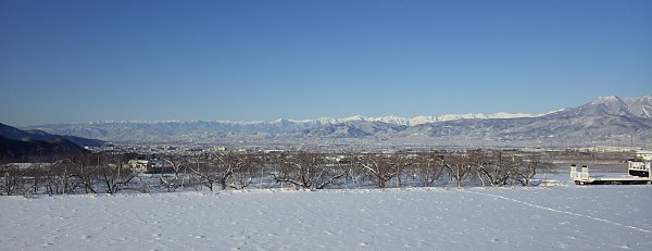 �����̒�