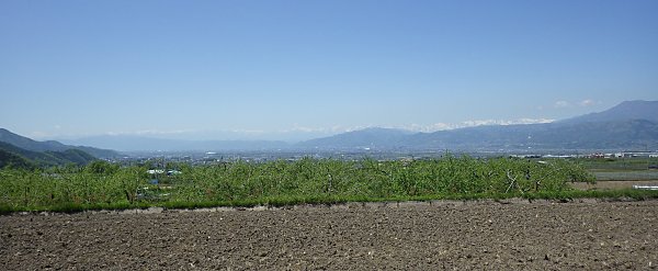 �����S�̉Ԃ��U�������@�L�O���̂����O