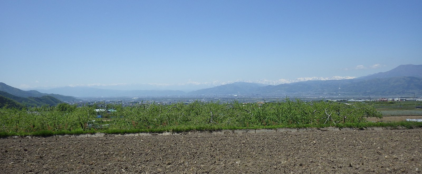 �����S�̉Ԃ��U�������@�L�O���̂����O