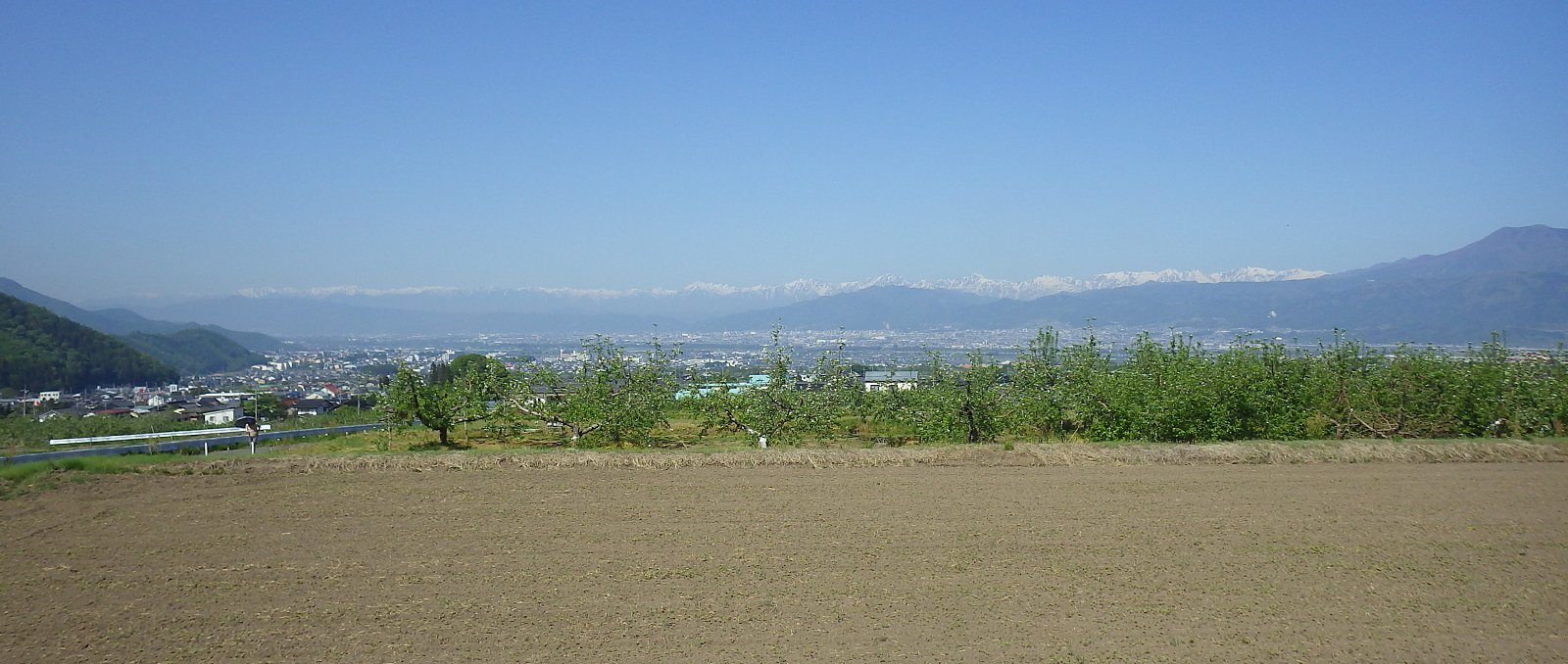 �܌�����݂̂ǂ�̓��̒�