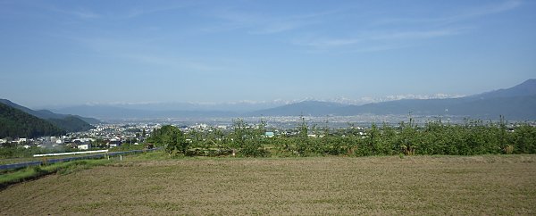 �c�A���̏������i�ޏ��Ă̒�