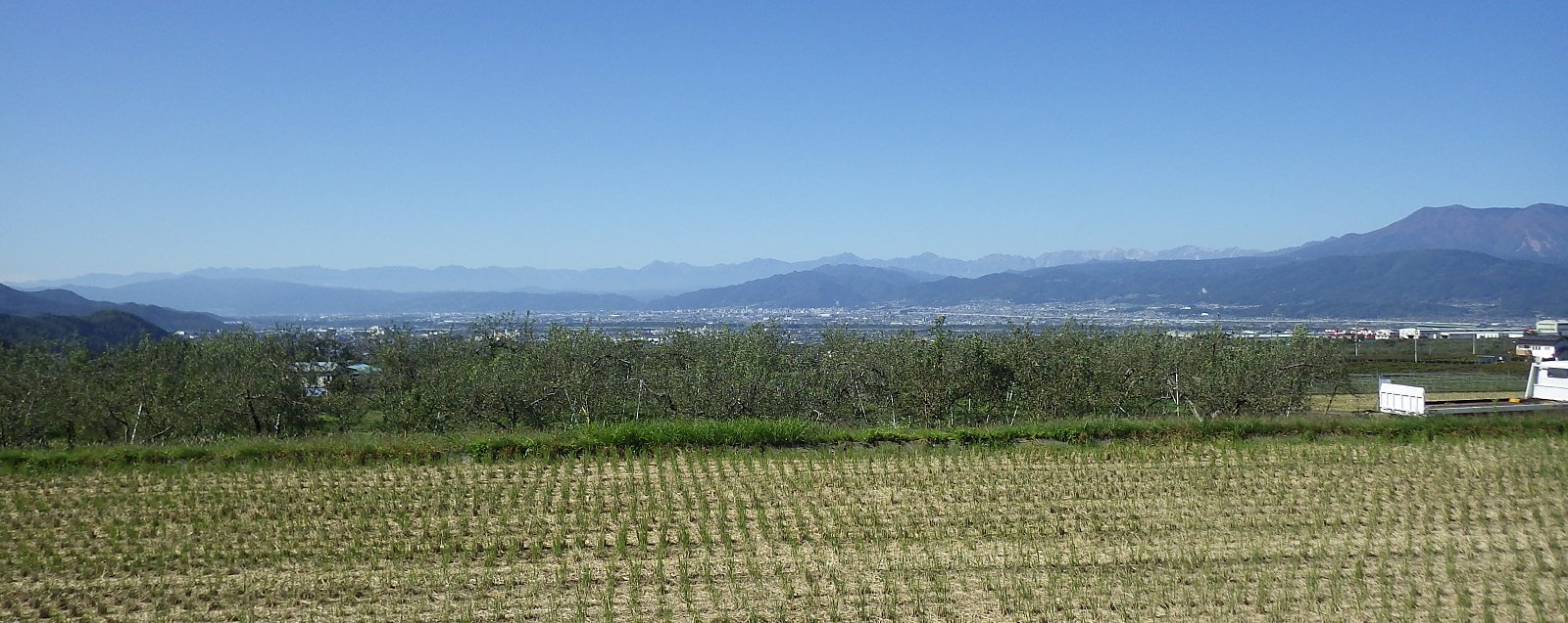 ��肪�I��蒆���탊���S�̎��n���Ő���