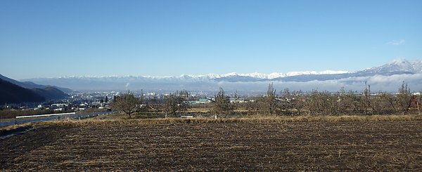 �얶�Y�����~�̒�