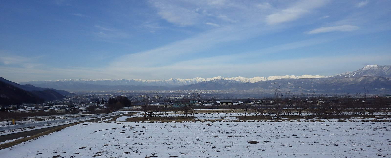 �c�ނɐႪ���銦���̒�