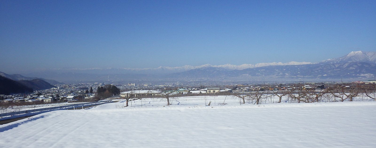 ��Ȑ�̏�ɔ����ɂ��Y����