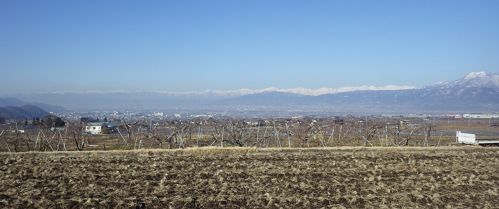 �����炭�����̋C���ɂȂ���3�������̒�