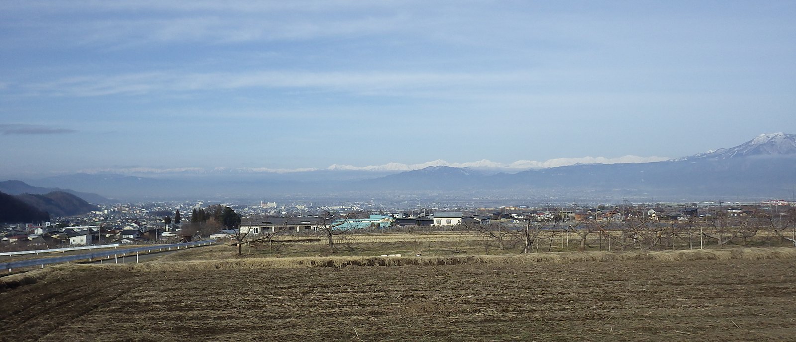 �P�������ɒ������������Ă������t�̒�