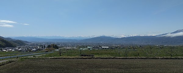 �����S�̉Ԃ��炫�o�����t�̒�������