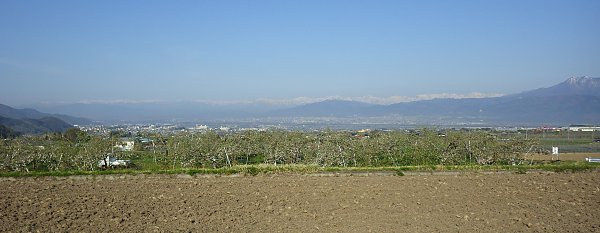 ���˗�p�ő����~�肽�t�̒�