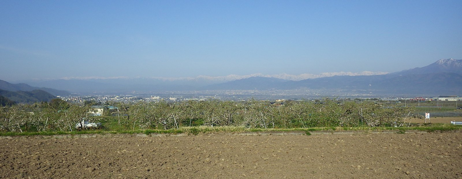 ���˗�p�ő����~�肽�t�̒�