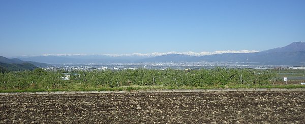 ���\������߂��āu�������v���~�肽��