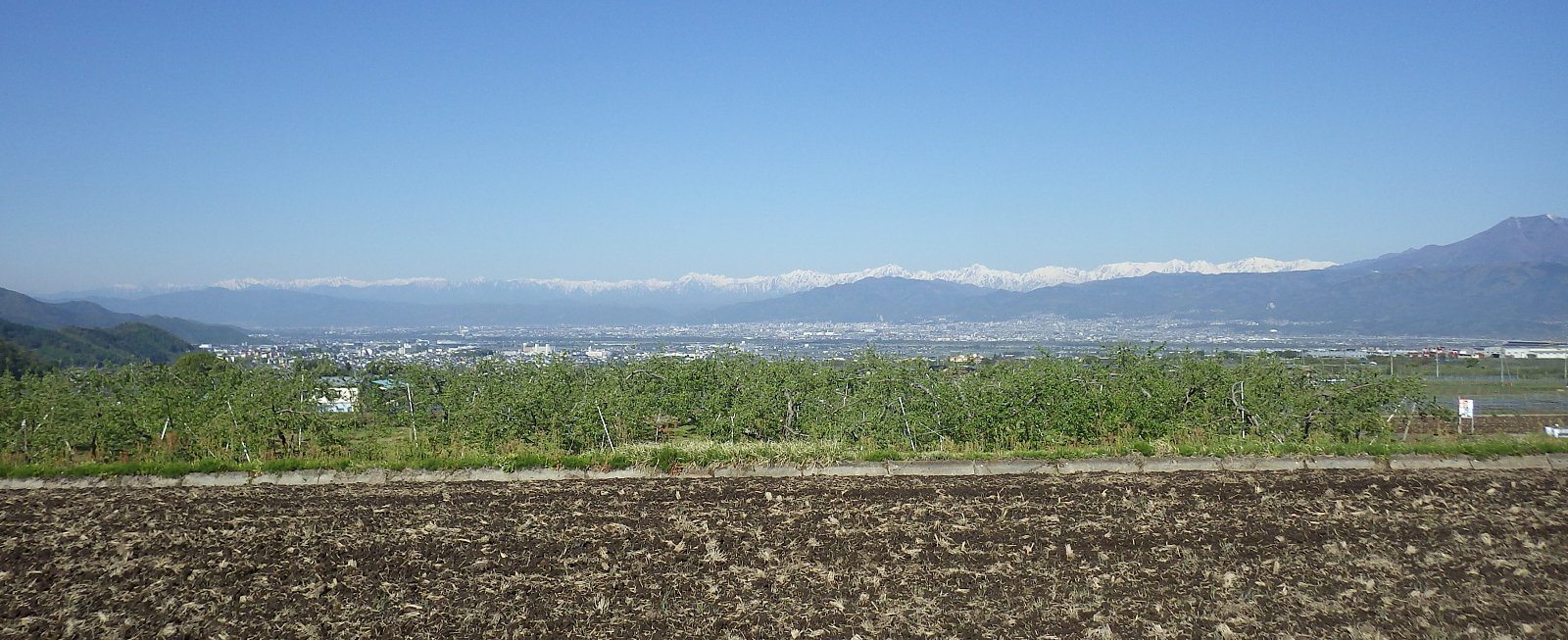 ���\������߂��āu�������v���~�肽��